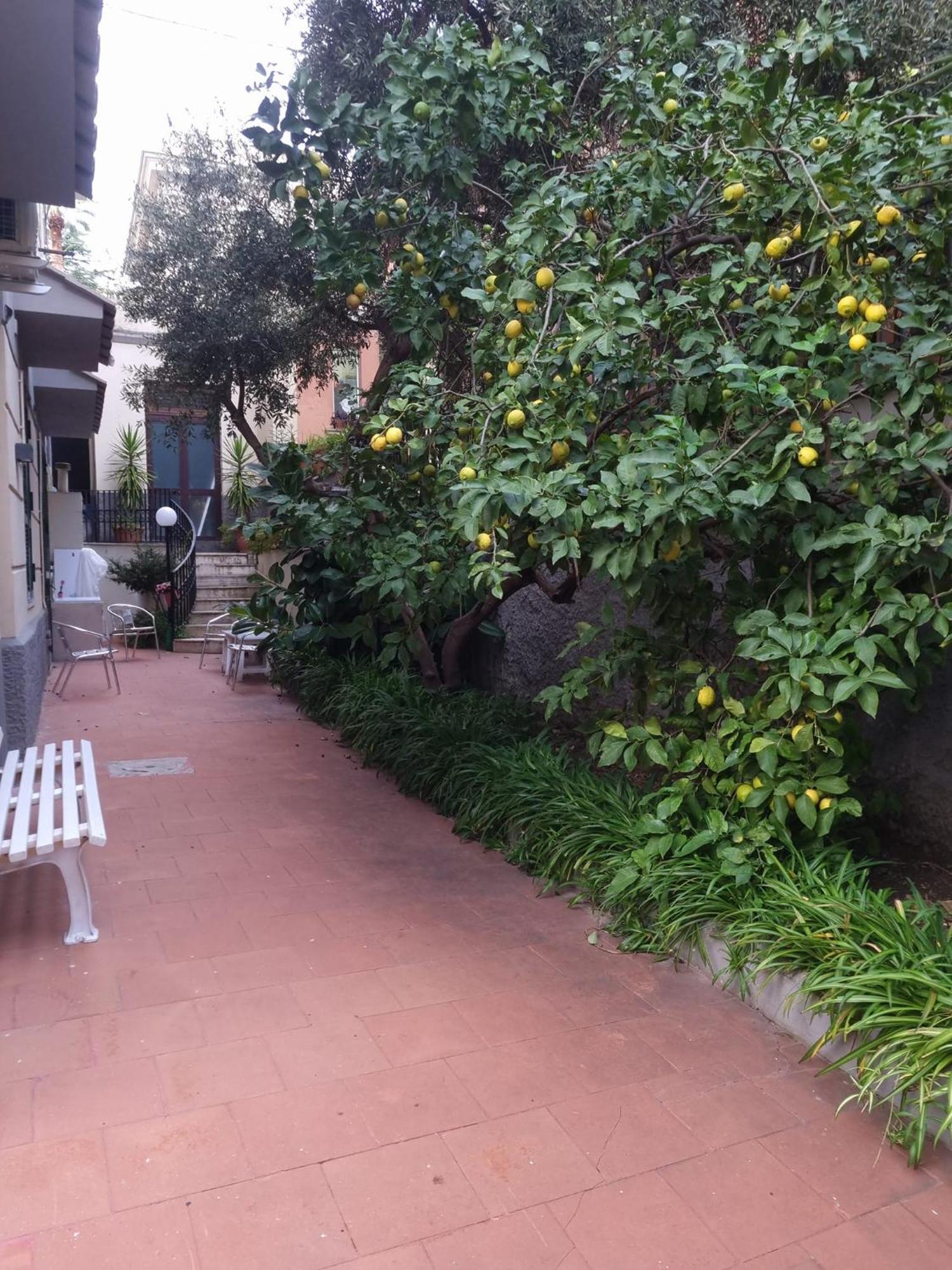 La Casetta Di Oppi Naples Luaran gambar